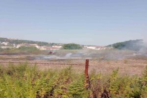 Zonguldak’ın Ereğli ilçesinde çalılık alanda başlayan yangın ormanlık alana sıçramadan