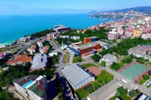 SCImago Institutions Rankings’te Zonguldak Bülent Ecevit Üniversitesi son bir yılda