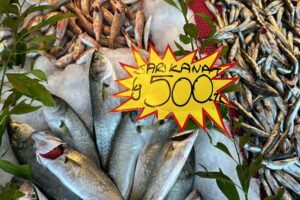 DÜZCE (İHA) – Hava şartları dolayısıyla tekneler denize açılamadı. Tezgaha