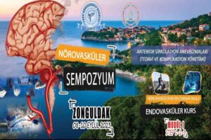 Türk Beyin ve Sinir Cerrahları beyin damar hastalıklarındaki güncel yaklaşımları