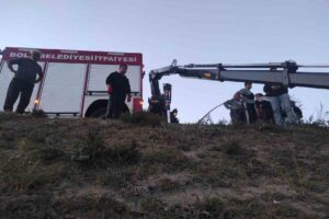 Bolu’nun Büyüksu Deresi’nde mahsur kalan inek, itfaiye ekiplerince vinç yardımıyla