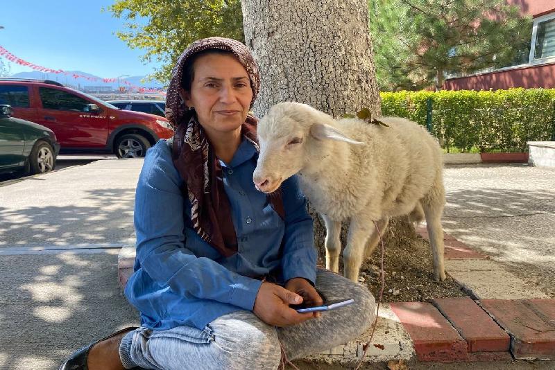 Karabük’te ev hanımı Hatice Yanar’ın çarşı pazar peşinden ayrılmayan 2
