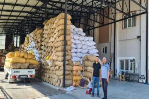 Zonguldak’ın Alaplı ilçesinde fındığın fiyatı 10 lira daha yükselerek 100