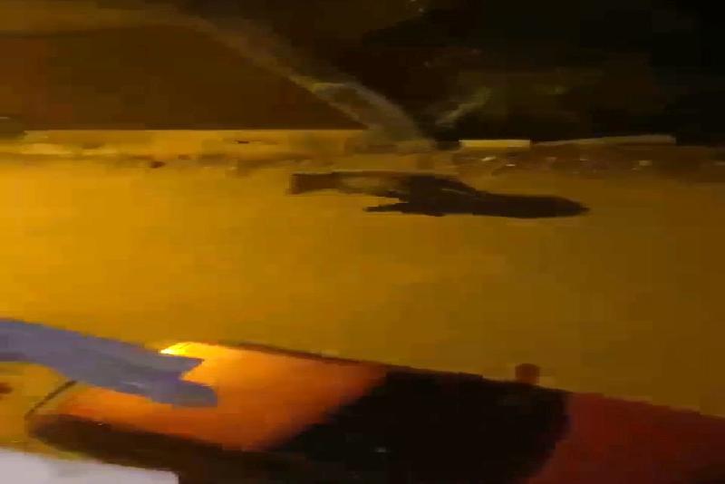 İlçe merkezine inen ayı amatör kameraya yansıdı Zonguldak’ın Devrek ilçesinde akşam saatlerinde ilçe merkezine inen bozayı kameralara