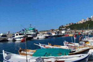 Kozlu Su Ürünleri Kooperatifi Başkanı Ergün Kayhan, 15 Ekim’den sonra