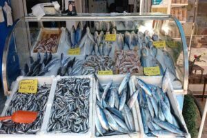 DÜZCE (İHA) – Denizlerde av yasağının 1 Eylül’de kalkmasıyla tezgahlar