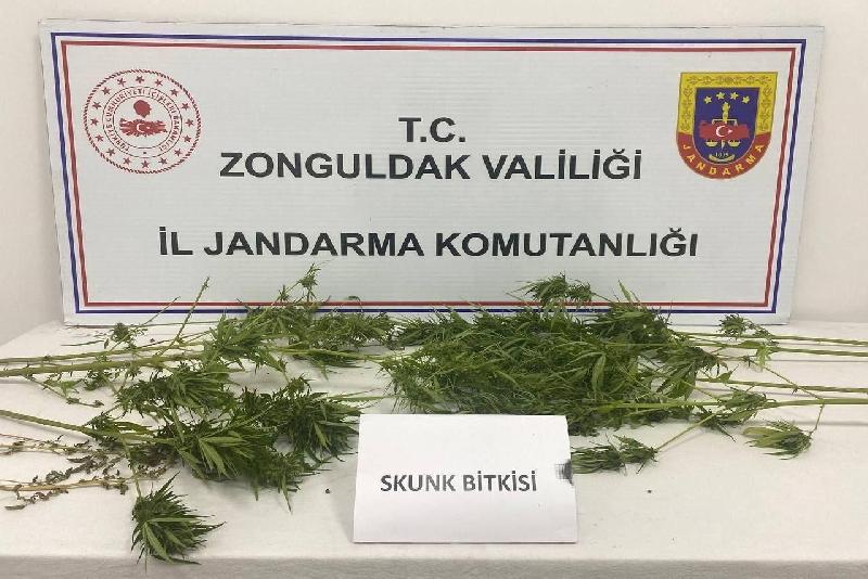 Zonguldak’ta uyuşturucu operasyonu Zonguldak’ta jandarma ekiplerince düzenlenen operasyonda uyuşturucu madde ele geçirildi. Zonguldak