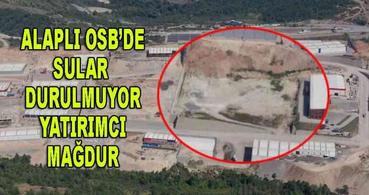 Alaplı Organize Sanayi bölgesi Yönetiminin sudan sebeplerle iptal ettiği tahsis’e