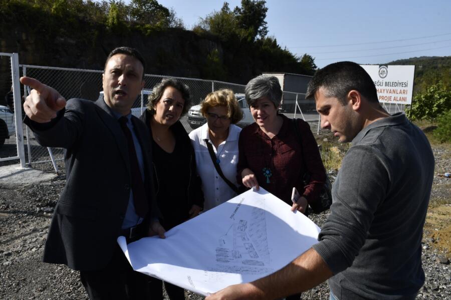 &nbsp; Kdz. Ereğli Belediyesi Veteriner İşleri Müdürlüğü Sokak Hayvanları Bakım