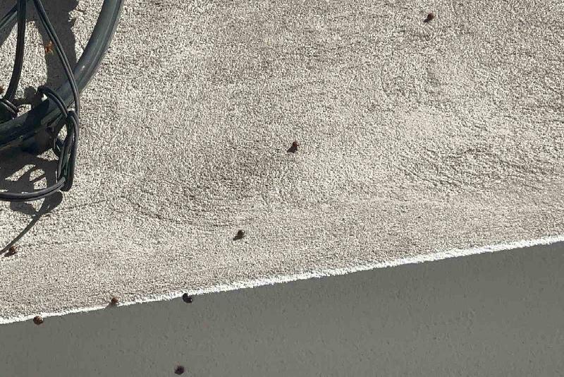 Devrek Tarım ve Orman İlçe Müdürü Rıfat Verim, ilçede bazı