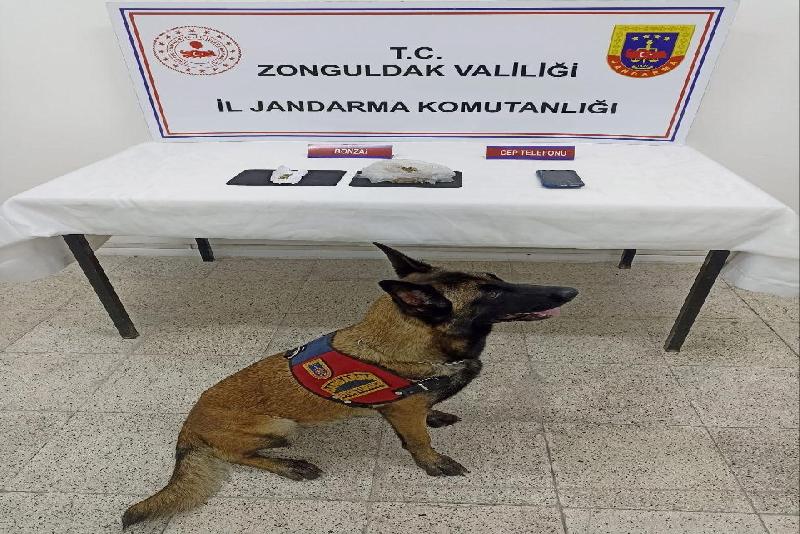Jandarmadan uyuşturucu operasyonu, 23 gram bonzai ele geçirildi Zonguldak’ın Alaplı ilçesinde jandarma ekiplerince düzenlenen operasyonda bonzai ele geçirildi.