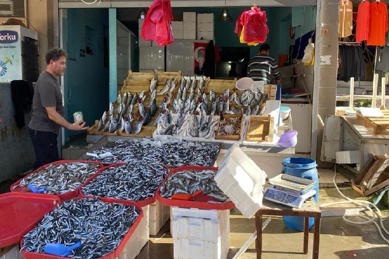 Zonguldak’ın Ereğli ilçesinde tezgahlar hamsi ile şenlendi. Kilosu 70 liradan