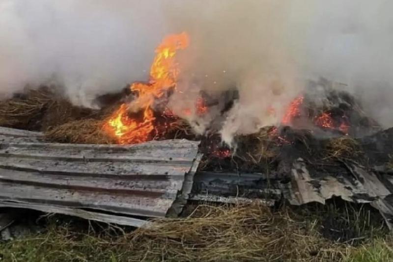 Samanlıkta çıkan yangın korkuttu Zonguldak’ın Kozlu İkçesinde samanlıkta çıkan yangın ekipleri harekete geçirdi. Edinilen
