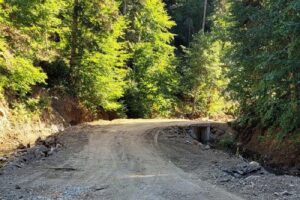 Bolu’nun Karadere ormanları olarak bilinen Bolu Orman İşletme Müdürlüğü’nün üretim