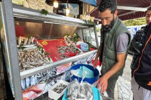 Karadeniz’de avlanan ve en yağlı dönemini yaşayan hamsi, vatandaşlar tarafından