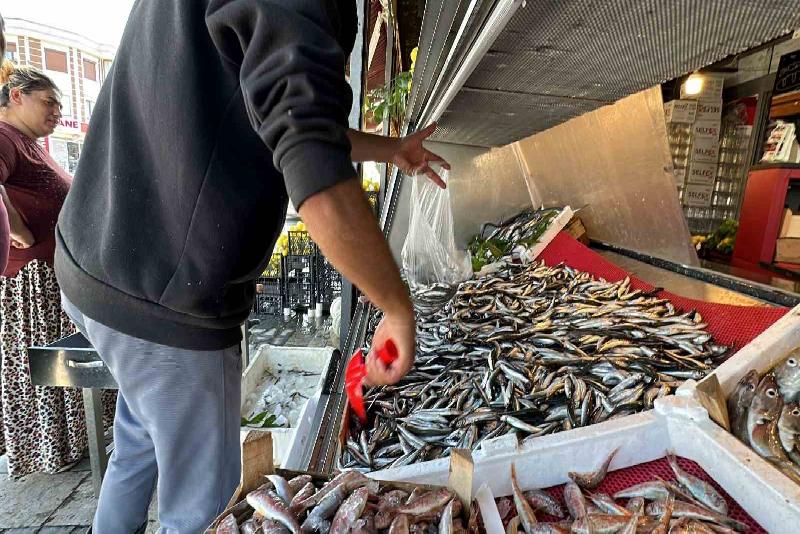 Karadeniz’de bol olarak avlanan hamsi, Düzce’de kilosu 50 liradan alıcı