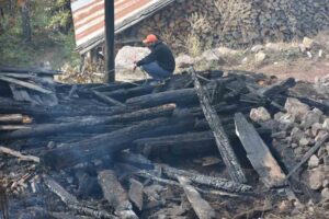 Kastamonu’nun Tosya ilçesinde 45 hanenin yandığı köyde, yangın ile birlikte