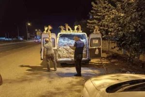 Düzce Belediyesi Zabıta Müdürlüğü ekipleri tarafından son 30 günde 114