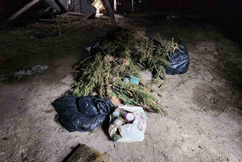 Karabük’te jandarma ekiplerinin düzenlediği operasyonda ahşap baraka içerisinde ve çevresinde