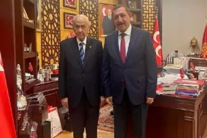 Kastamonu Belediye Başkanı Op. Dr. Rahmi Galip Vidinlioğlu, Milliyetçi Hareket