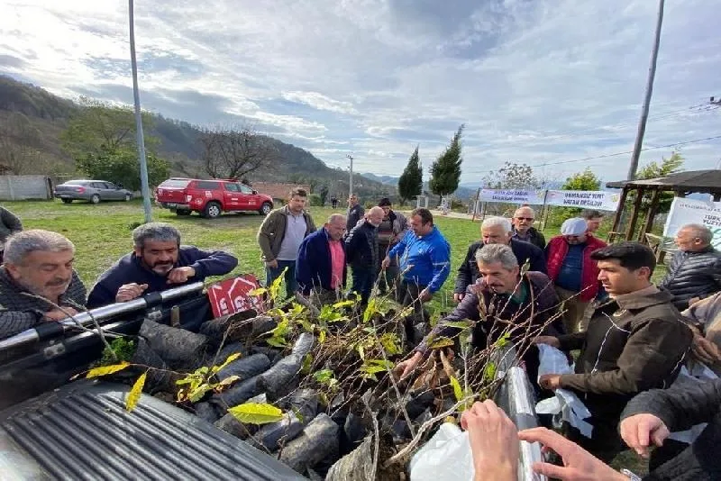 Bin adet kestane fidanı dağıtıldı DÜZCE(İHA) – Düzce’nin Akçakoca ilçesinde vatandaşlara ücretsiz olarak bin adet