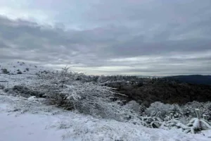 Dünya’nın birçok yerinden ziyaretçilerini ağırlayan Bolu’nun doğa harikası Yedigöller Milli