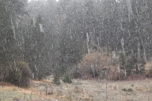 Bolu’da sabah saatlerinden itibaren etkili olan sağanak yağış yüksek kesimlerde