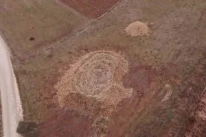 Kastamonu’nun Devrekani ilçesinde, çiftçiler tarafından üretilen tonlarca şeker pancarları, fabrikanın