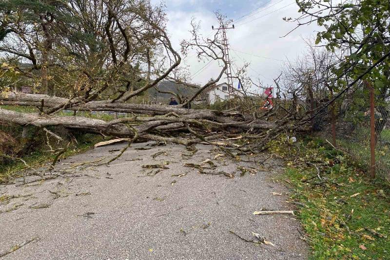 Kastamonu’nun Çatalzeytin ilçesinde yaşanan fırtına sebebiyle bazı evlerin çatısı uçarken,