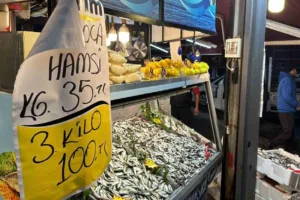 Düzce’de geçtiğimiz günlerde kilosu 60 liradan satışa sunulan hamsi 35