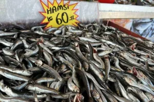 Hafta sonu Karadeniz’de etkili olan fırtınanın ardından Düzce’de balık tezgahlarında