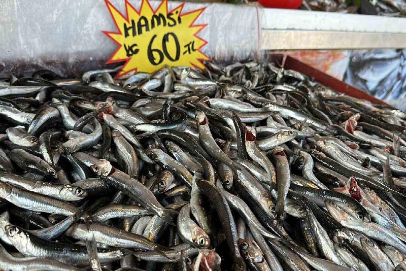 Fırtınanın ardından balık tezgahlarında son durum Hafta sonu Karadeniz’de etkili olan fırtınanın ardından Düzce’de balık tezgahlarında