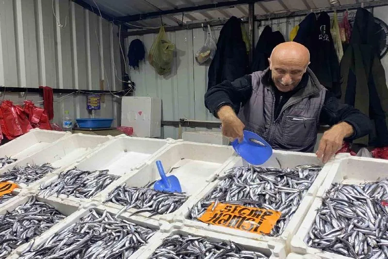 Zonguldak’ta kilosu 50 TL’den satılan hamsiye vatandaşlar yoğun ilgi gösterdi.