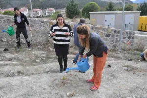 Bu yıl faaliyetlerine başlayan Mudurnu Devlet Hastanesi bahçesine 150 fidan