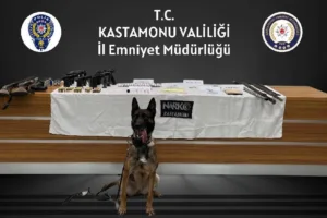 Kastamonu merkezli 3 ilde düzenlenen uyuşturucu operasyonunda gözaltına alınan 18