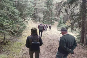 Ilgaz Dağı ve Tosya Gavurdağı’nda yaban hayatı geliştirme sahalarında 2023