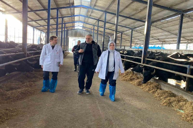 DÜZCE(İHA) – Düzce’de Anadolu Mandasının Halk Elinde Islahı Projesi dahilinde