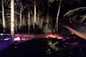 Bolu’nun Göynük ilçesinde ormanlık alanda bilinmeyen bir nedenle çıkan örtü