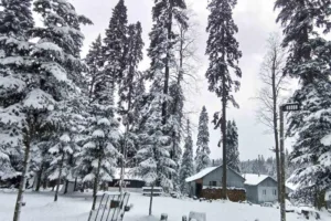 DÜZCE (İHA) – Düzce’de yüksek kesimlerde etkili olan kar yağışı