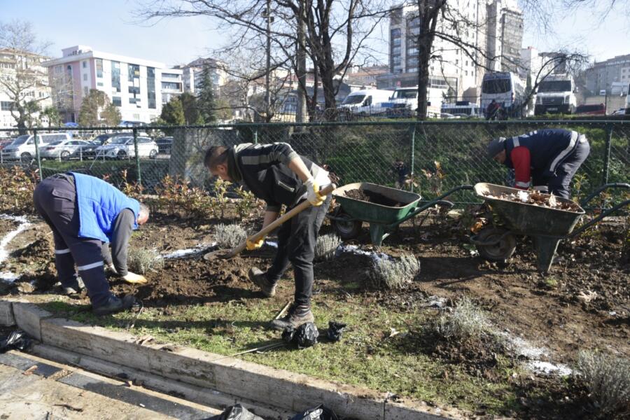 Kdz. Ereğli’de 19 Kasım’da yaşanan büyük felakette yıkılan ağaçların yerlerine
