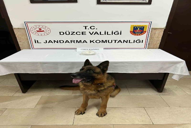 DÜZCE (İHA) – Düzce’de jandarma ekipleri tarafından yapılan çalışmada, infialle