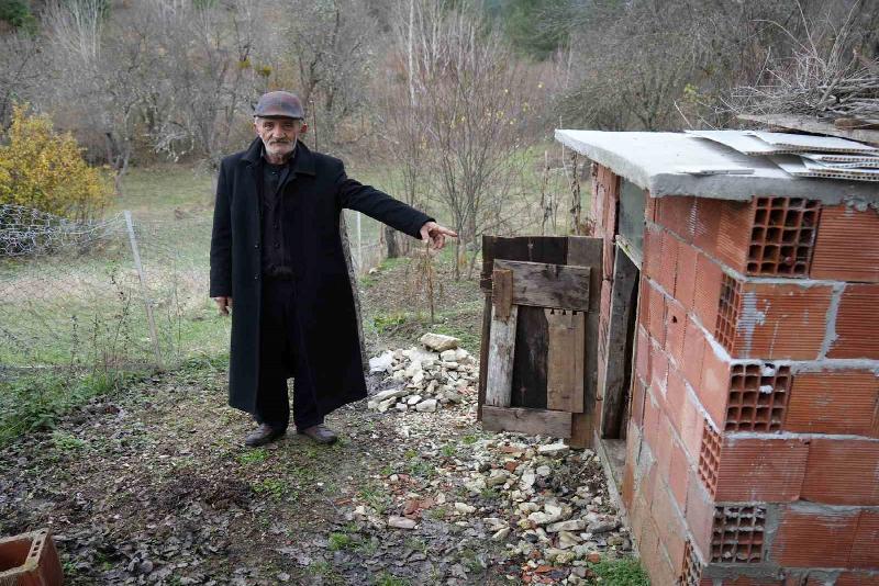 Kastamonu’nun Ağlı ilçesinde köy merkezine kadar inen ayı, girdiği kümeste