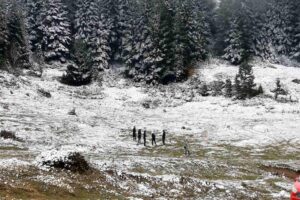 Bolu’nun yüksek kesimlerinde dün gece etkili olan kar yağışı nedeniyle