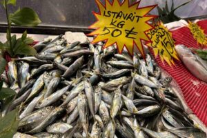 Düzce’de istavrit kilosu 50 liradan tezgahlardaki yerini aldı. Karadeniz’de balık