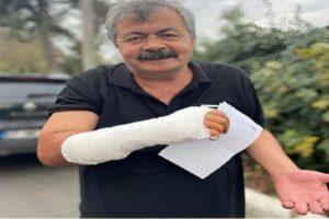 Zonguldak’ta kavga eden iki kediyi ayırmak isteyen Engelsiz Yaşam Merkezi