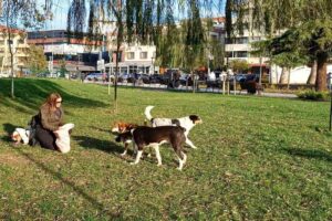 DÜZCE (İHA) – Düzce’de 6. yaş günü partiyle kutlanan köpeğin