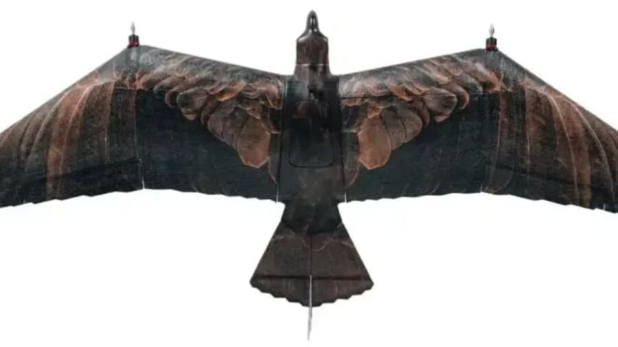 Hollandalı Şirketin Tanıttığı Kartal Şeklindeki Gizli Gözetleme Platformu: Evolution Eagle Hollandalı şirket Guard From Above, askeri ihtiyaçlara göre tasarlanmış kartal