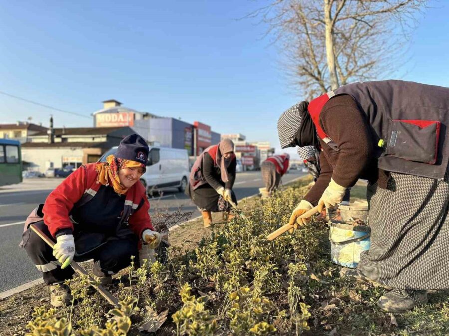 Düzce Belediyesi’nin Park ve Bahçeler Müdürlüğü ekipleri, şehrin çeşitli bölgelerinde