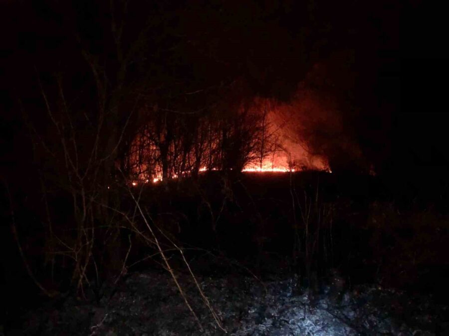 Zonguldak’ta Ormanlık Alanda Çıkan Örtü Yangını Kontrol Altına Alındı!