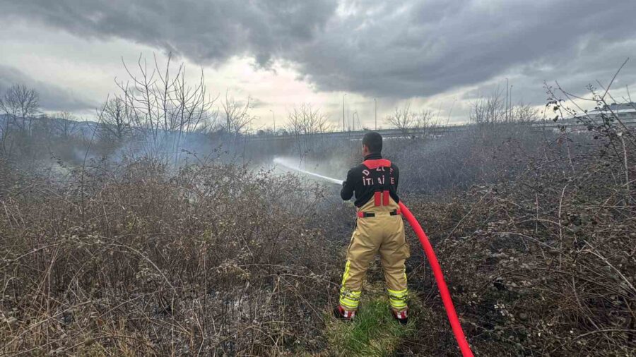 Düzce’de, Darıcı Mahallesi Şehirlerarası terminali karşısında bulunan çalılık alanda çıkan